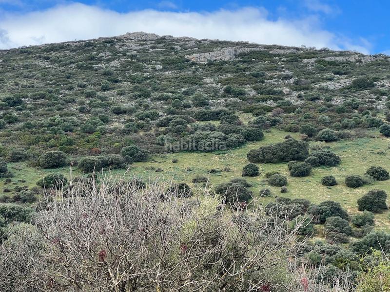 Foto 1ce3d84d-bbb3-4214-a036-3f045c46aa00. Finca rústica finca, 295 hectáreas, en Jabalcuz Jaén