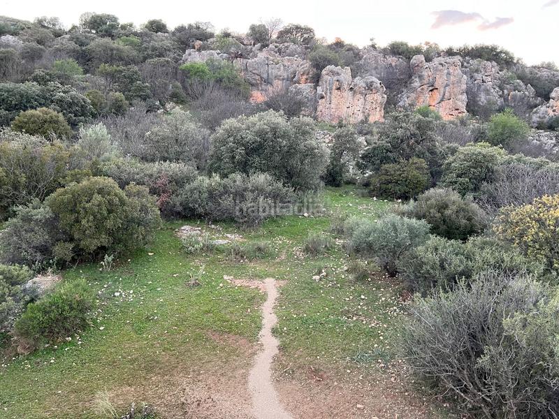 Foto 2ef081fd-e850-4497-9b4d-5c9b6d50899a. Finca rústica finca, 295 hectáreas, en Jabalcuz Jaén