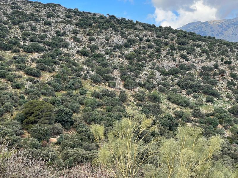 Foto 34da096b-662c-4703-b100-b1edfeadb4ff. Finca rústica finca, 295 hectáreas, en Jabalcuz Jaén