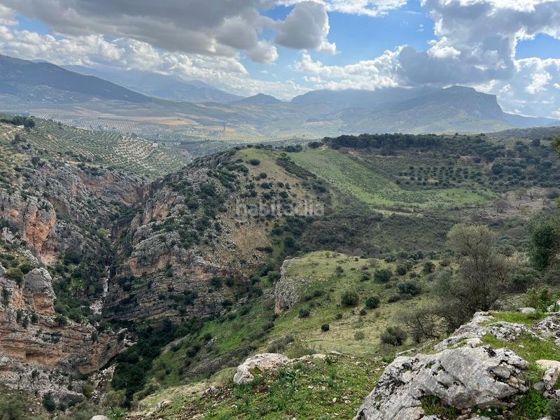 Foto 386ee543-5c37-447a-a81e-a33a846e9922. Finca rústica finca, 295 hectáreas, en Jabalcuz Jaén