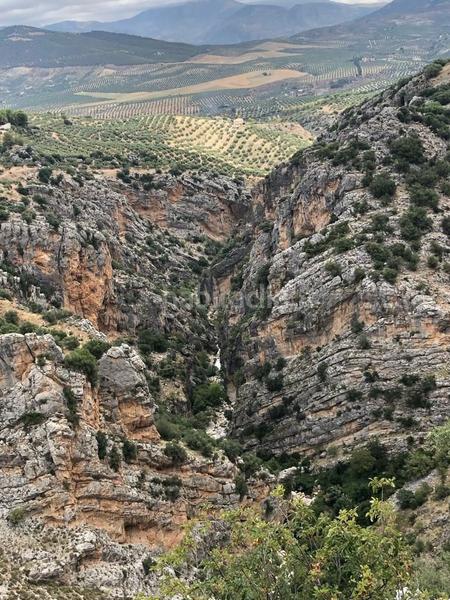 Foto 4f4feb53-16fc-4940-9a59-246cfd86eb5d. Finca rústica finca, 295 hectáreas, en Jabalcuz Jaén