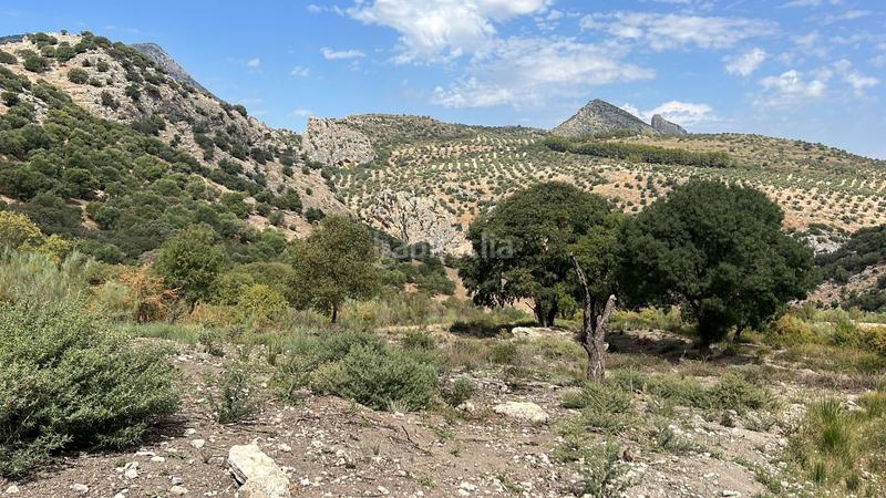 Foto 51baf07d-4a7d-4ba7-9a16-f21cfc69a419. Finca rústica finca, 295 hectáreas, en Jabalcuz Jaén