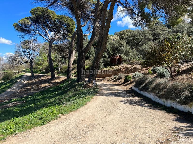 Foto 521b3d1e-6119-4eca-b9f7-2ab96136682d. Finca rústica finca, 295 hectáreas, en Jabalcuz Jaén