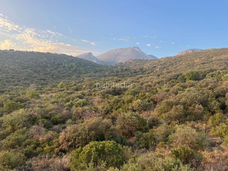 Foto 7ffa5bfe-53a7-440d-b46f-4fb8e394d1be. Finca rústica finca, 295 hectáreas, en Jabalcuz Jaén