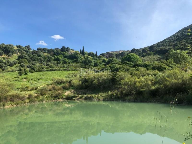 Foto 97b04554-e055-43b1-8f09-635cb51a41f2. Finca rústica finca, 295 hectáreas, en Jabalcuz Jaén