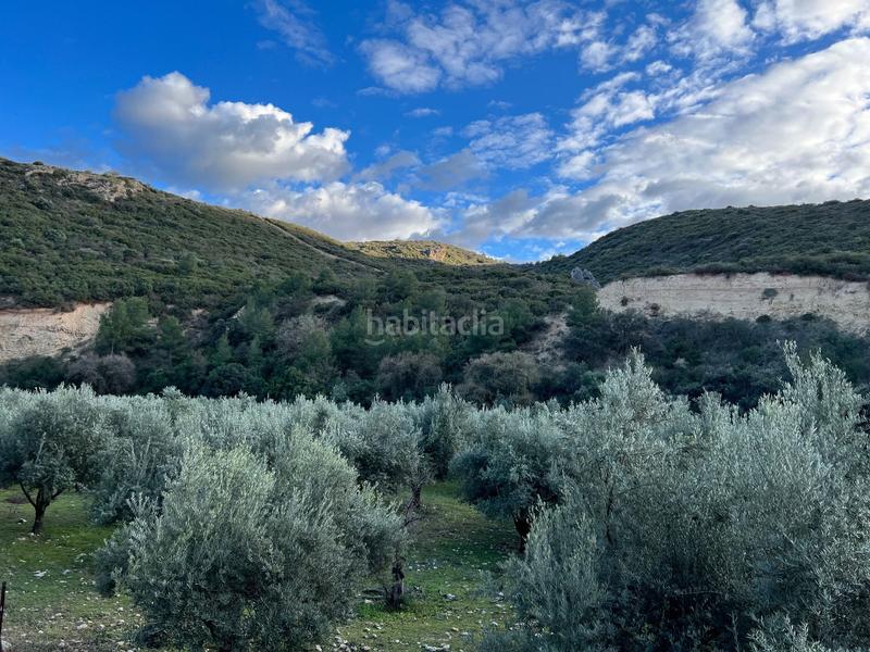 Foto 9ef8977c-aacf-49ca-87b8-aa474d188296. Finca rústica finca, 295 hectáreas, en Jabalcuz Jaén