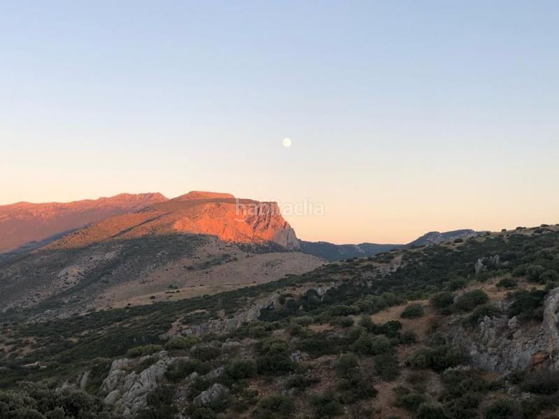 Foto a6b34bb6-0580-418b-868d-a7aeeefe6bb8. Finca rústica finca, 295 hectáreas, en Jabalcuz Jaén