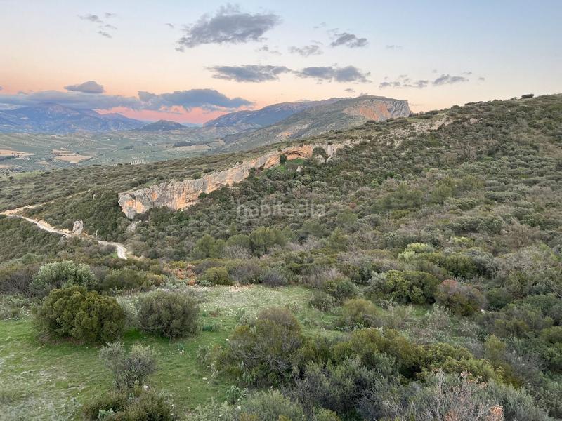 Foto af36ec7f-f380-4682-bec8-9a3e603c7c2f. Finca rústica finca, 295 hectáreas, en Jabalcuz Jaén