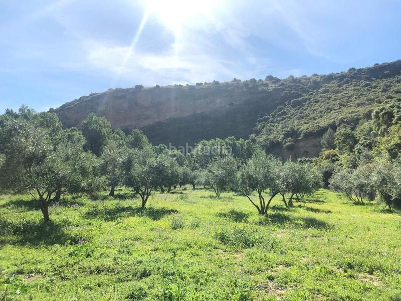 Foto b40fcea0-2e9c-4e54-91f6-2b00df514f3a. Finca rústica finca, 295 hectáreas, en Jabalcuz Jaén
