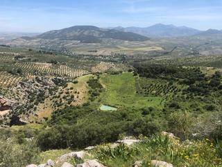 Finca rústica a Jabalcuz. Finca, 295 hectáreas, en jaén
