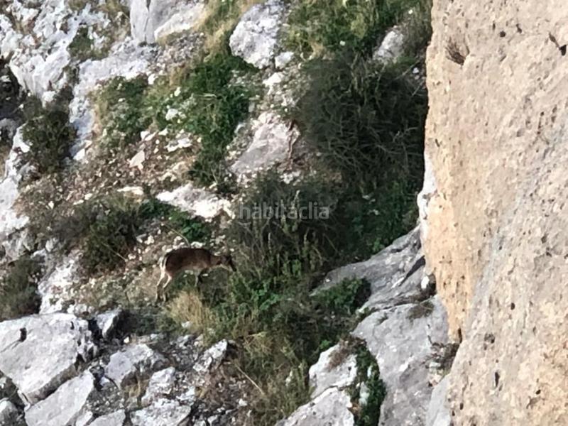 Foto d0712181-90aa-453e-8070-335450fd9fed. Finca rústica finca, 295 hectáreas, en Jabalcuz Jaén