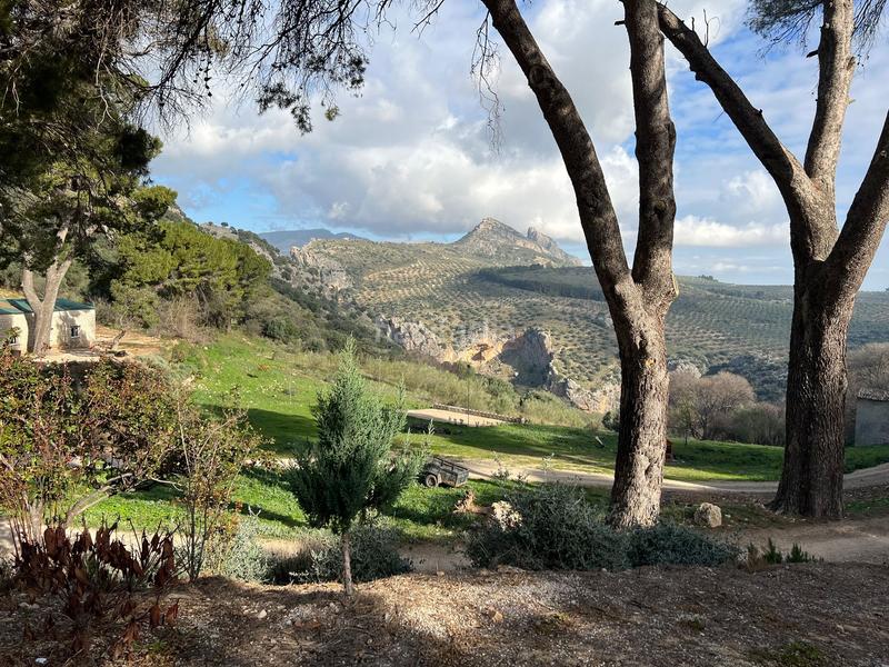 Foto d513e339-36dd-447d-bfda-a3d55912ca58. Finca rústica finca, 295 hectáreas, en Jabalcuz Jaén