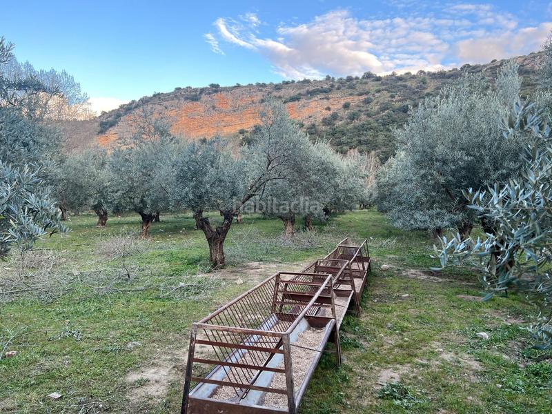 Foto eb3ce8f4-5d3a-4dea-8234-4af916eefab6. Finca rústica finca, 295 hectáreas, en Jabalcuz Jaén
