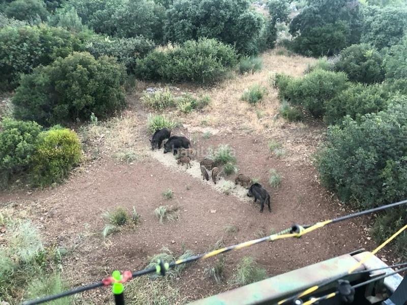 Foto fc89827d-9951-414f-afe7-a3ff6384986d. Finca rústica finca, 295 hectáreas, en Jabalcuz Jaén