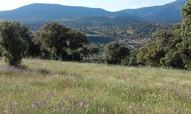 Foto 80f7d9b1-a6bb-4c51-97a1-151f54d8d726. Finca rústica a San Román de los Montes
