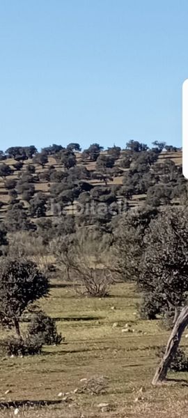 Foto 8b0a74f5-6748-4fc7-9e16-2882cdcb7734. Finca rústica a San Román de los Montes