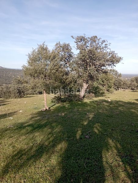 Foto b2c578c9-e9f0-4306-89d3-103b7aa4e46f. Finca rústica a San Román de los Montes
