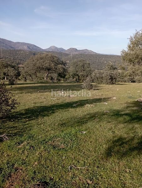 Foto d139ff69-d51a-4643-9366-04ff99717f79. Finca rústica a San Román de los Montes