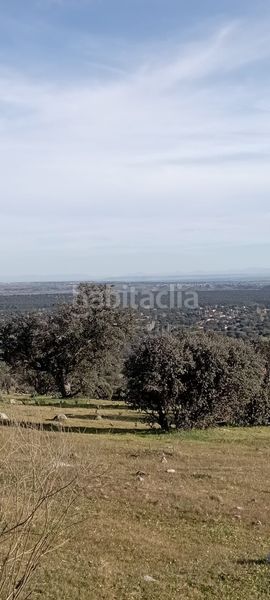 Foto e863dee1-69f9-402c-9354-bb52a073398e. Finca rústica a San Román de los Montes