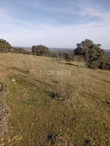 Foto ed018399-3d3f-42b2-b0a3-f8f754ffb2a7. Finca rústica a San Román de los Montes