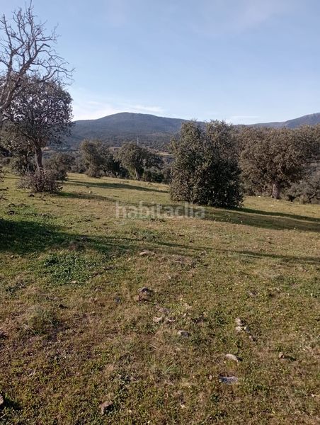 Foto f019624c-5ea5-4a20-ad79-f07930a6a3db. Finca rústica a San Román de los Montes