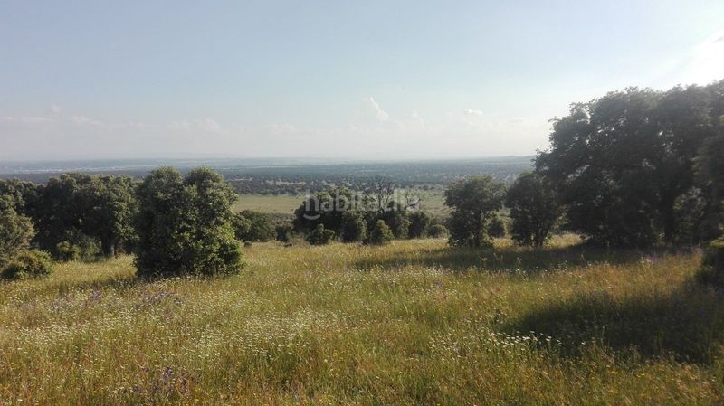 Foto f6e6149d-b212-4634-83b8-7f09b6c3ad8c. Finca rústica a San Román de los Montes
