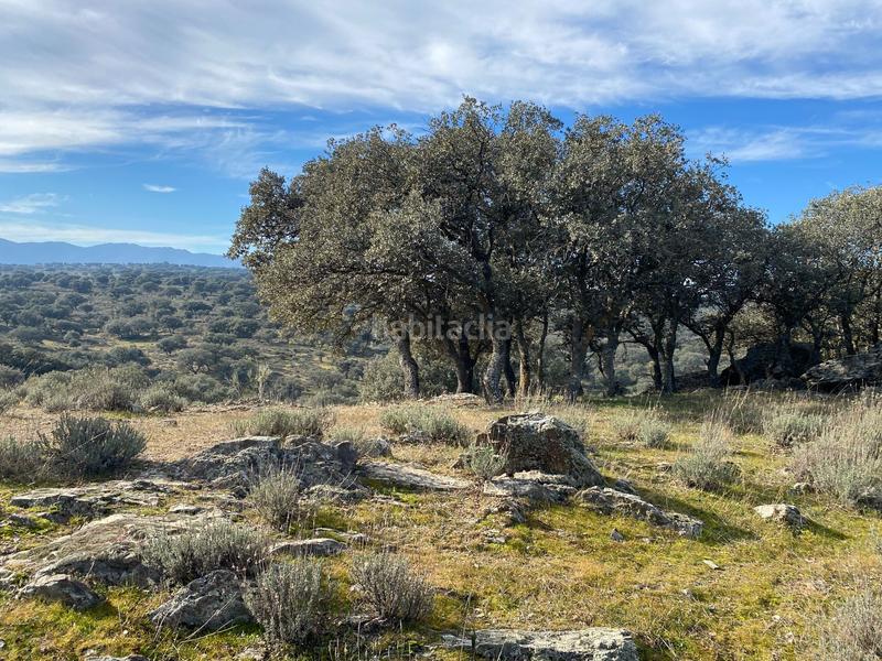 Foto 06882919-0e30-4df9-9019-4c0caae84467. Finca rústica a Estrella (La)