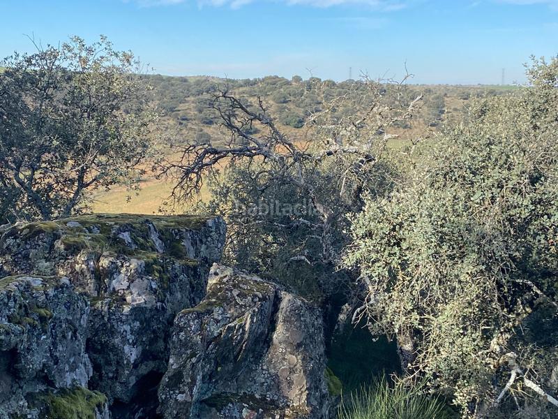 Foto 162d36bc-bf92-43cd-ae47-62d47a16ec02. Finca rústica a Estrella (La)