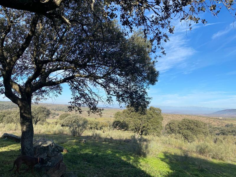 Foto 1c3c7688-3c88-4cc7-9eb9-9948ce012786. Finca rústica a Estrella (La)