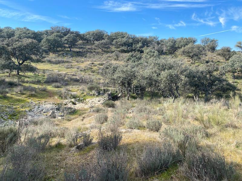 Foto 22b2e105-4a79-4d56-9295-f02622f472ea. Finca rústica a Estrella (La)