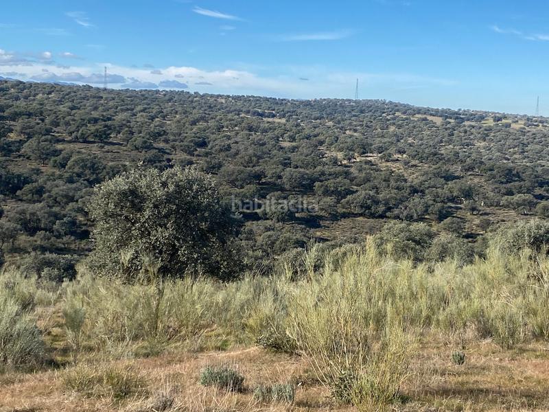 Foto 2a38c684-8f7f-4a24-aff8-e5e42745f0ac. Finca rústica a Estrella (La)