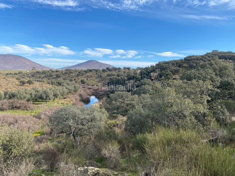 Foto 2b0b09e9-9da0-44d9-bc24-79d395e403c2. Finca rústica a Estrella (La)