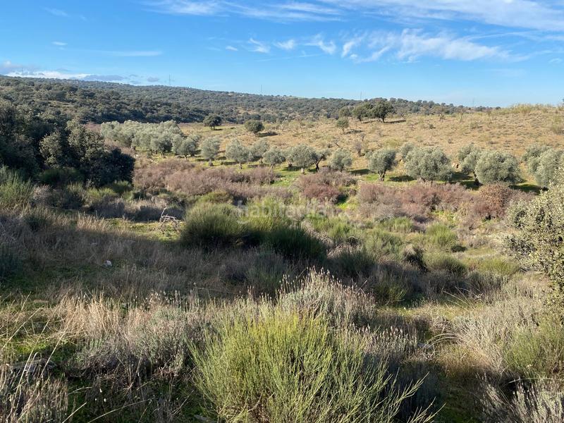 Foto 375c99e2-3b92-4156-acaa-cad830d10df0. Finca rústica a Estrella (La)