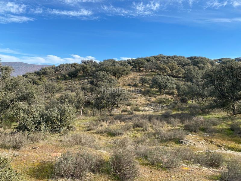 Foto 43abc2cd-1b18-4ef8-9126-69e6571b52a9. Finca rústica a Estrella (La)