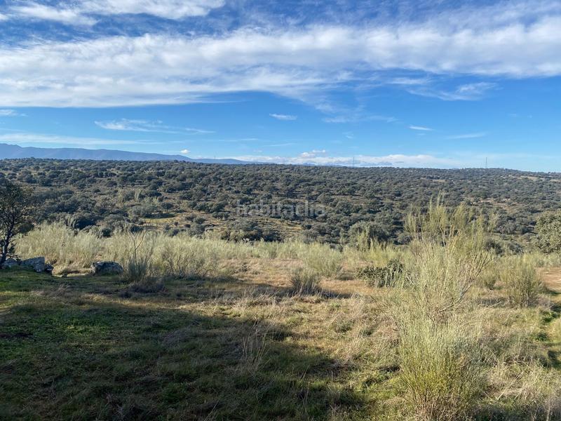 Foto 64ab1370-2ff8-4738-9b3f-5be9a4b99cf7. Finca rústica a Estrella (La)