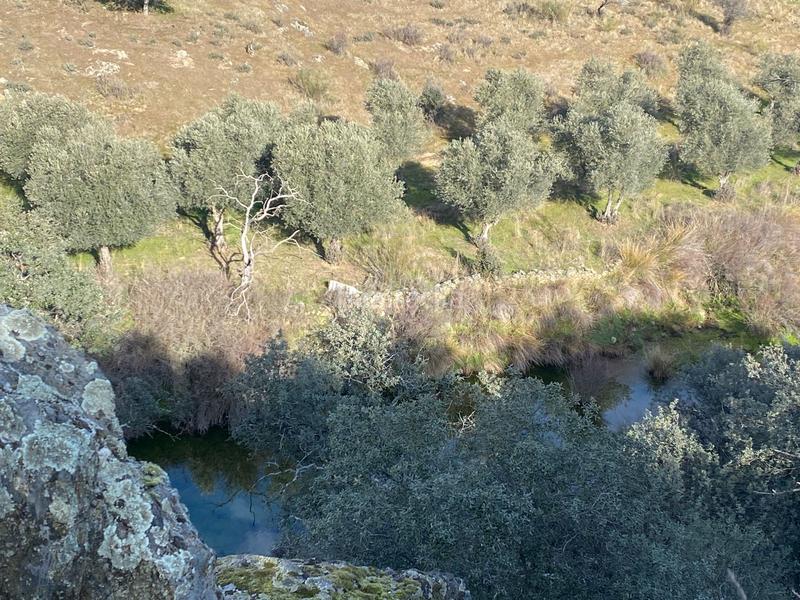 Foto 6b2ef42b-b4b7-487a-ae1b-b3e7aecc7148. Finca rústica a Estrella (La)