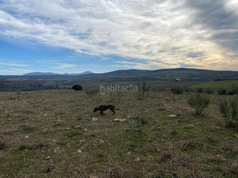 Foto 7200f4ad-f292-4a8c-9f69-b50606ef8484. Finca rústica a Estrella (La)