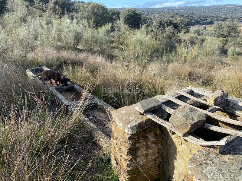 Foto 7a78ff5e-917b-425c-bcf0-5a623a4a32f4. Finca rústica a Estrella (La)