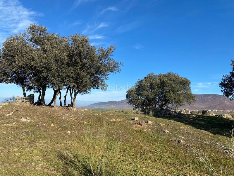 Foto 82e06fde-de4b-465a-86fe-efba24892761. Finca rústica a Estrella (La)