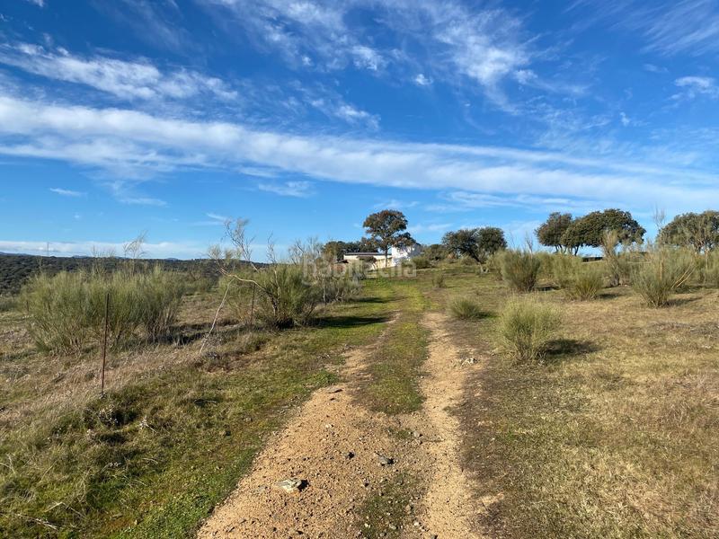 Foto 94ff3ef4-2135-4bf8-91e1-cc4d06f4437b. Finca rústica a Estrella (La)