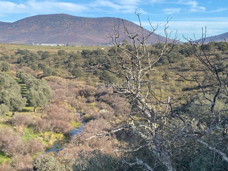 Foto b90ce77d-92f2-4186-be4f-8b74547eaa6b. Finca rústica a Estrella (La)