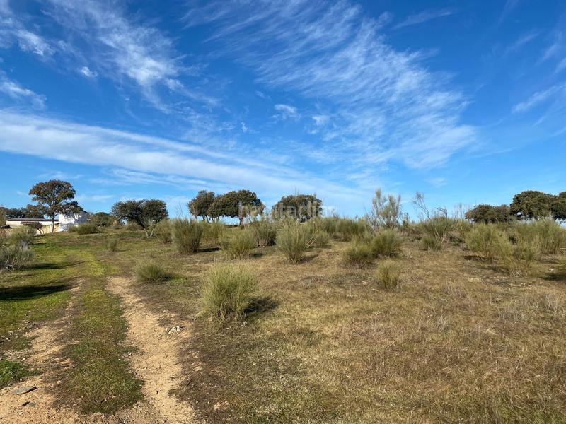 Foto f9e5b02f-4fc0-40d2-9c9e-831971d8173a. Finca rústica a Estrella (La)