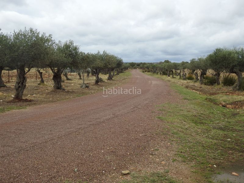 Foto 30c03863-5be4-4ff9-9fa1-f19a1844f846. Finca rústica en Peraleda de la Mata