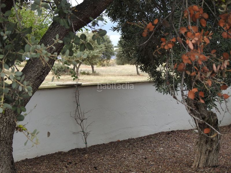 Foto 4fbec88b-44ea-43f5-939c-6fc19207fd81. Finca rústica en Peraleda de la Mata