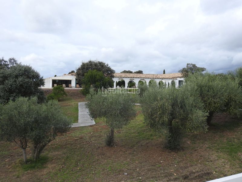 Foto bd609602-c3e3-4400-b7fa-5da295ba42b7. Finca rústica en Peraleda de la Mata