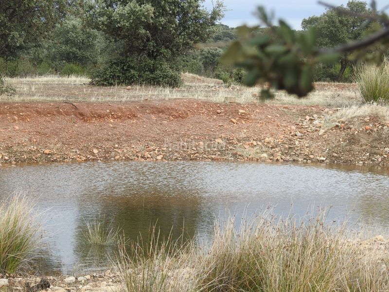 Foto cc9fa1a3-ce9f-4d61-b120-e62cadb4af61. Finca rústica en Peraleda de la Mata