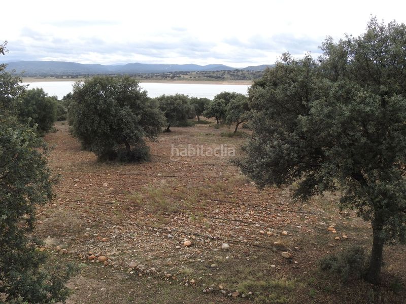 Foto e0b26a57-0421-4084-a958-6d6cbcf7003e. Finca rústica en Peraleda de la Mata