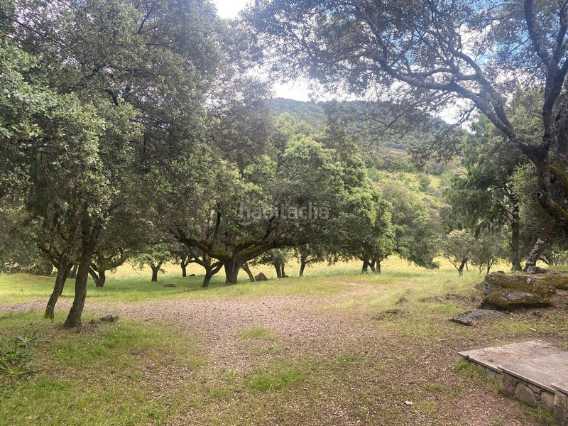 Foto 47165392-7166-4cd7-8730-d6e1a8cec231. Masia amb calefacció a Real de San Vicente (El)