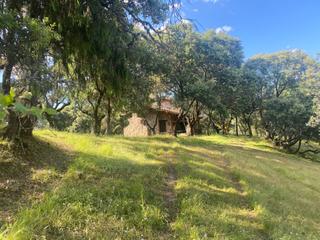 Masia a Real de San Vicente (El)