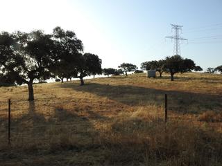 Rural plot en Villar del Pedroso